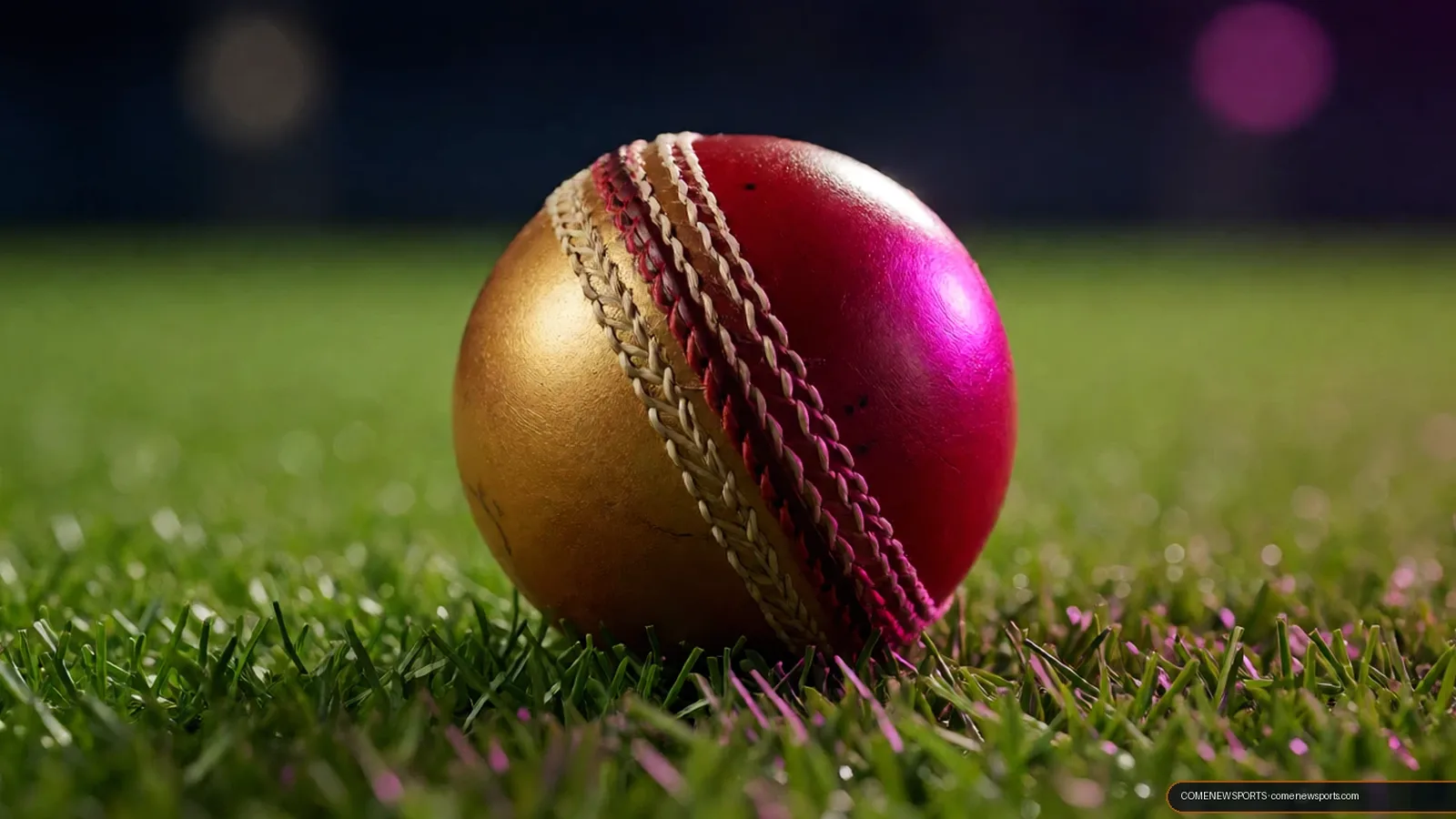 Comenewsports come com fantasy cricket stadium